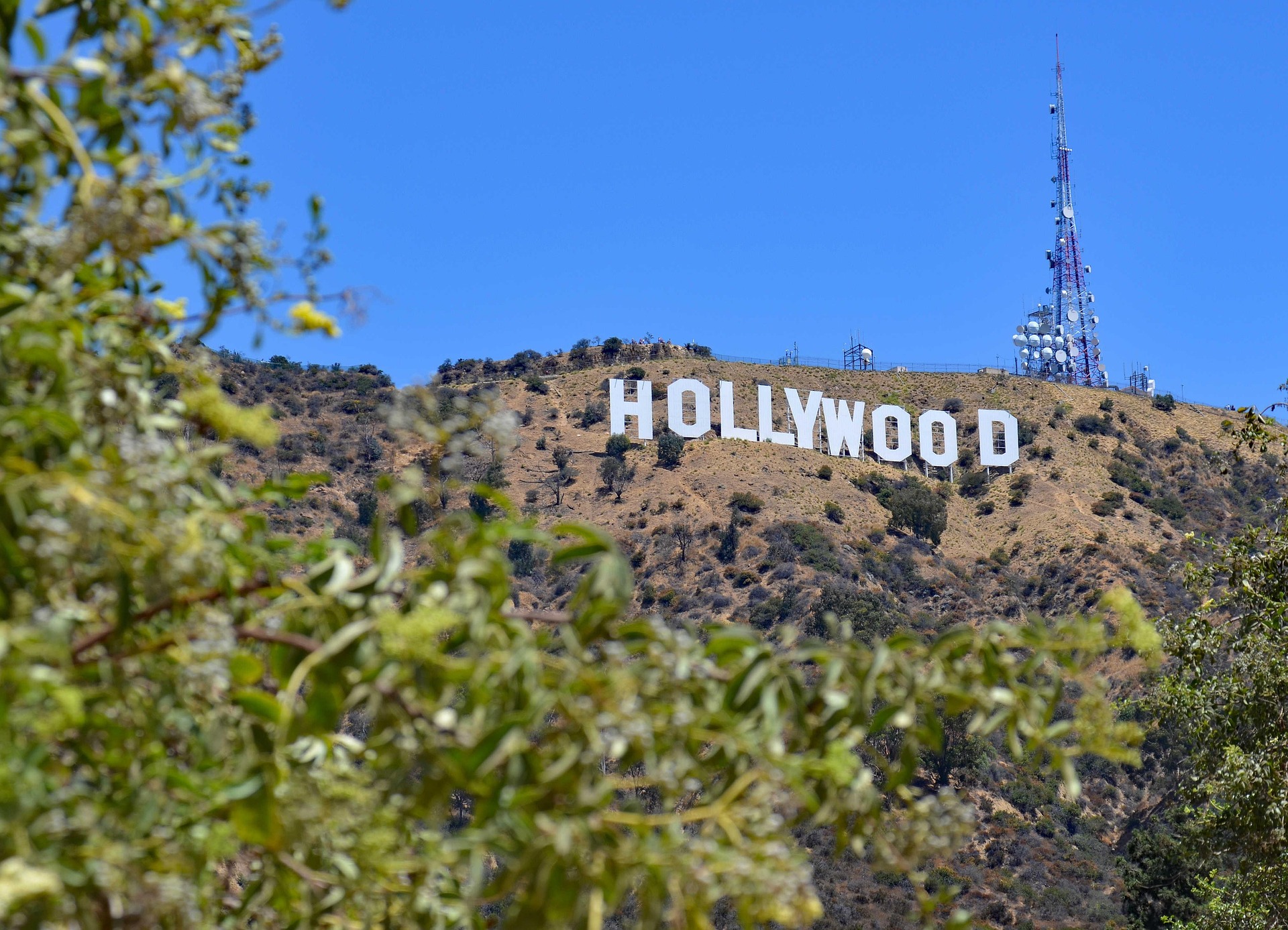 usa- hollywood
